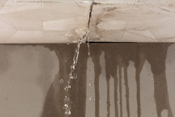 Professional Water Damage Inspection technician working in Lawrenceburg, IN